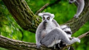 10-sites-touristiques-a-visiter-a-Madagascar